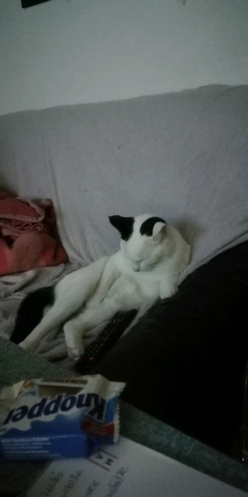 Bild hochgeladen von Marcel