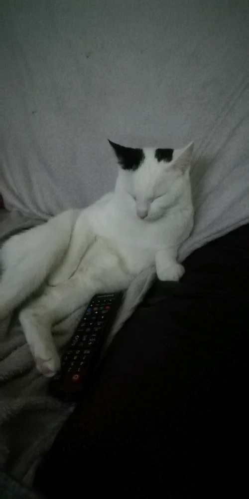 Bild hochgeladen von Marcel