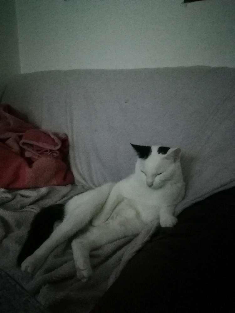 Bild hochgeladen von Marcel