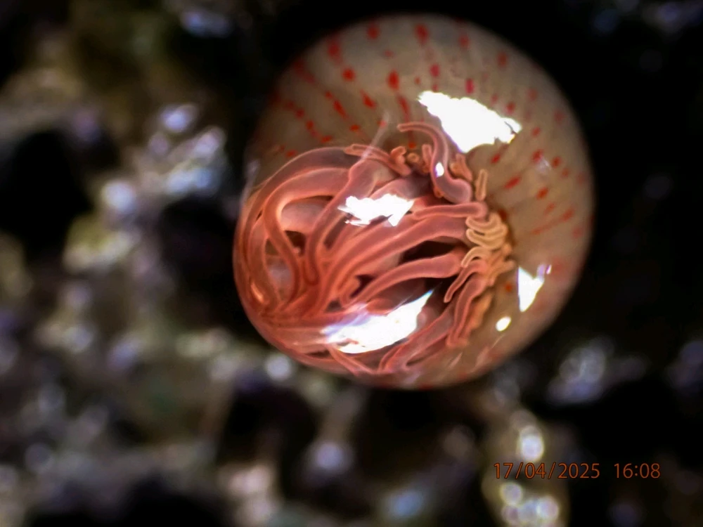 Image uploaded by Marie