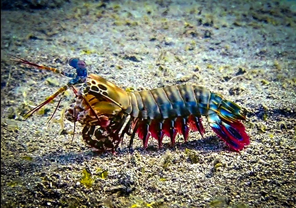 Image uploaded by Marie