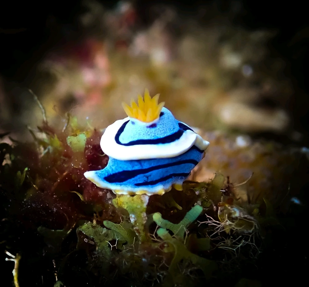 Image uploaded by Marie