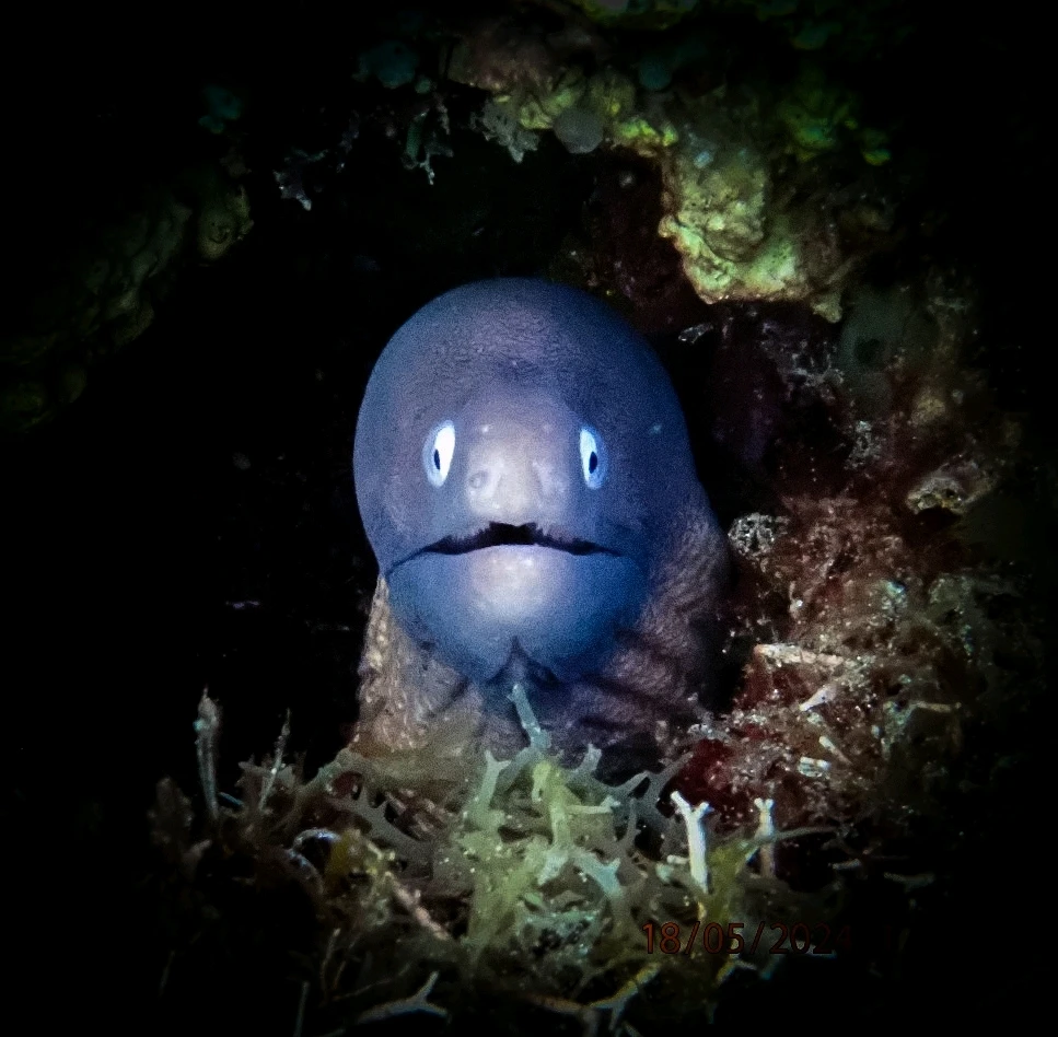 Image uploaded by Marie