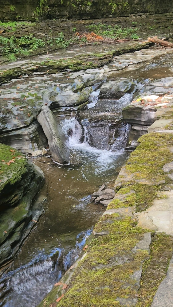 Image uploaded by Guppie