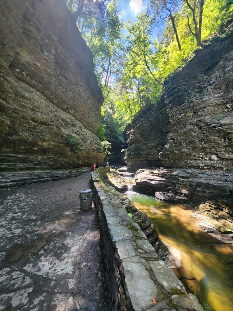 Image uploaded by Guppie