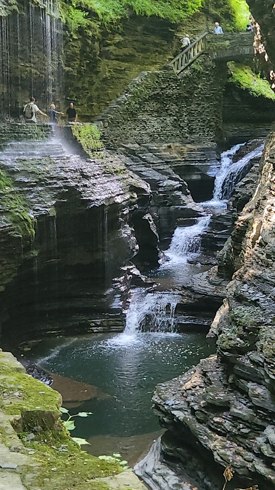 Image uploaded by Guppie