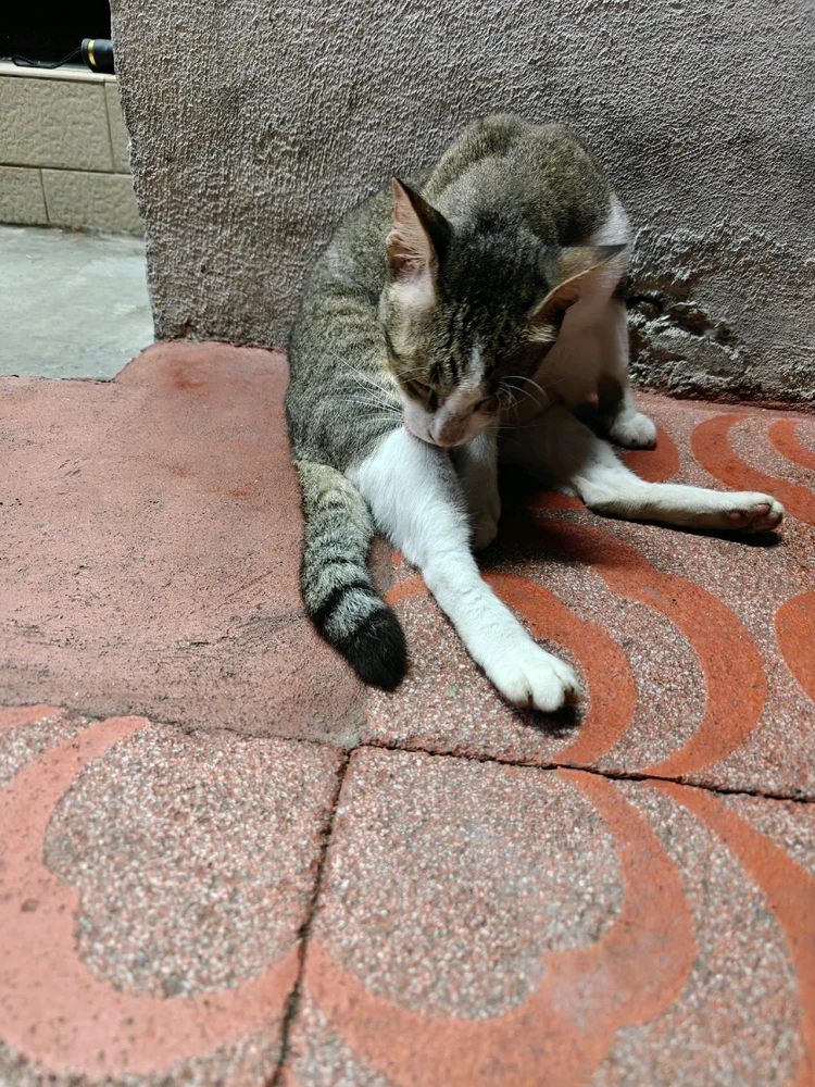 ようがアップロードした画像