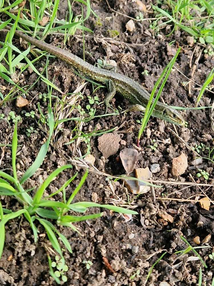 Image uploaded by Lena