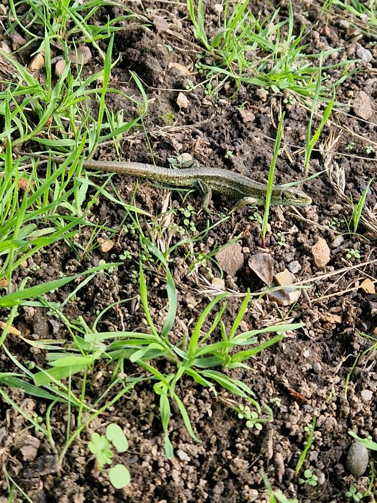 Image uploaded by Lena