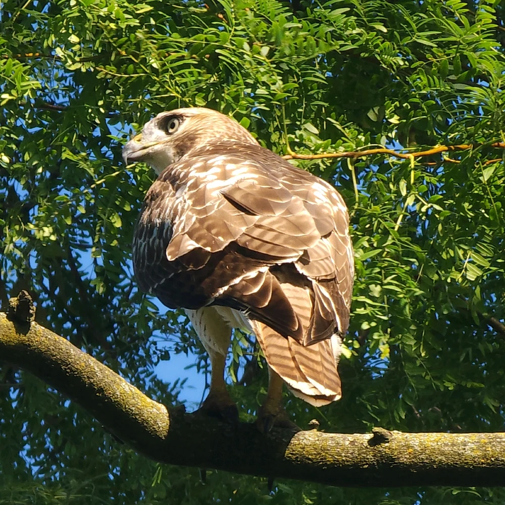 Image uploaded by Noelle