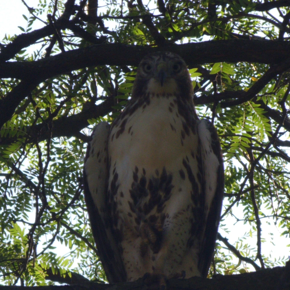 Image uploaded by Noelle