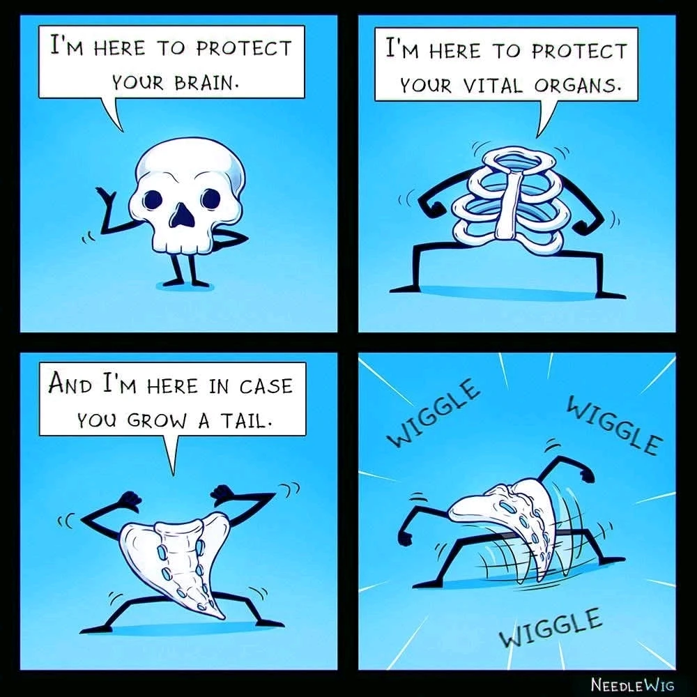 GIF uploaded by Hanah