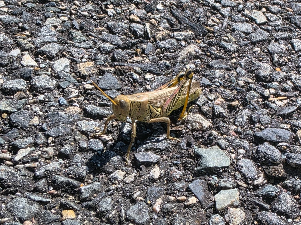 Image uploaded by Alex