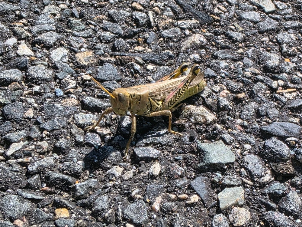 Image uploaded by Alex