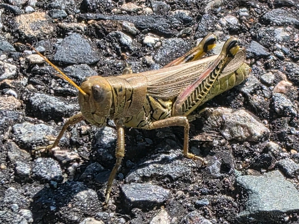 Image uploaded by Alex