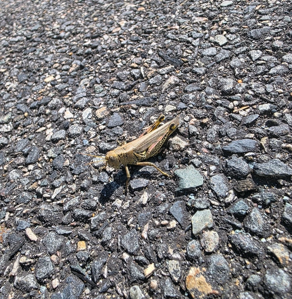 Image uploaded by Alex