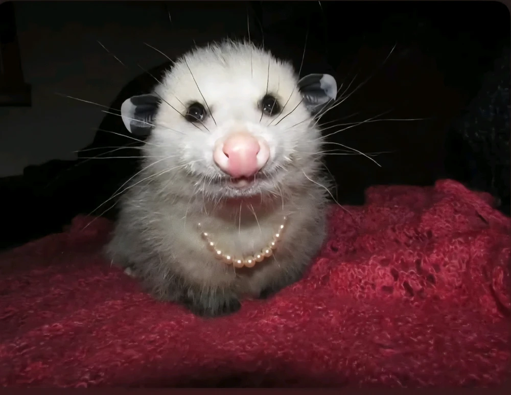 Image uploaded by Jaxxyn