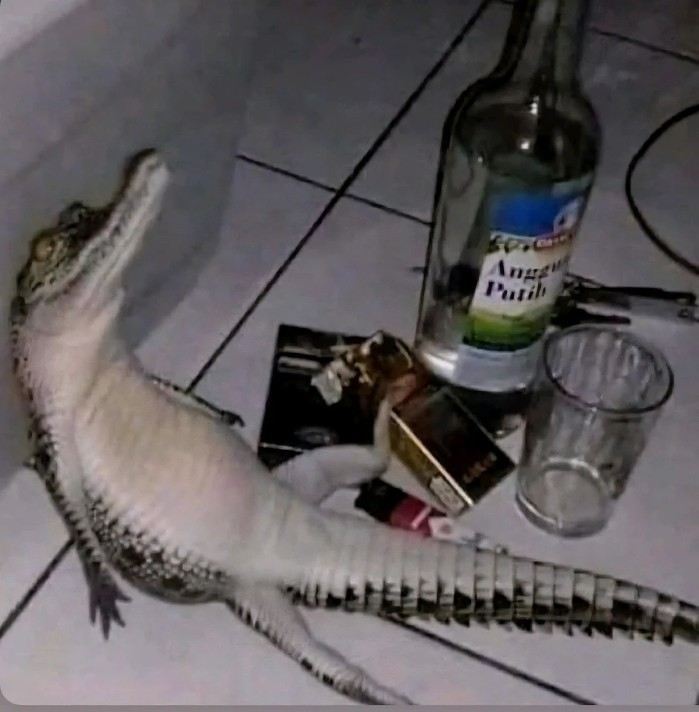 Image uploaded by Jaxxyn