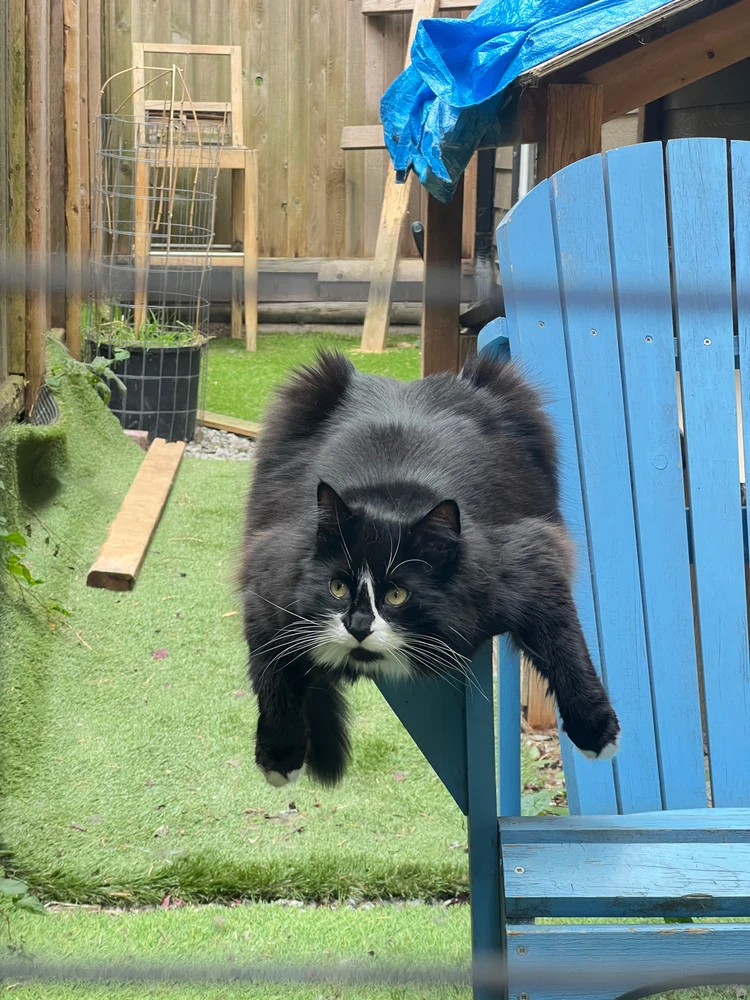 GIF uploaded by Misty