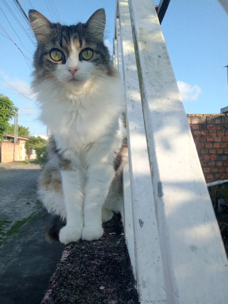 Essa gosta de ser fotografada 🥰