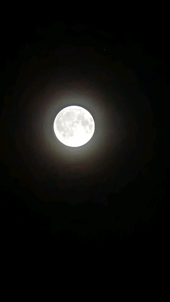 GIF uploaded by Sabreena