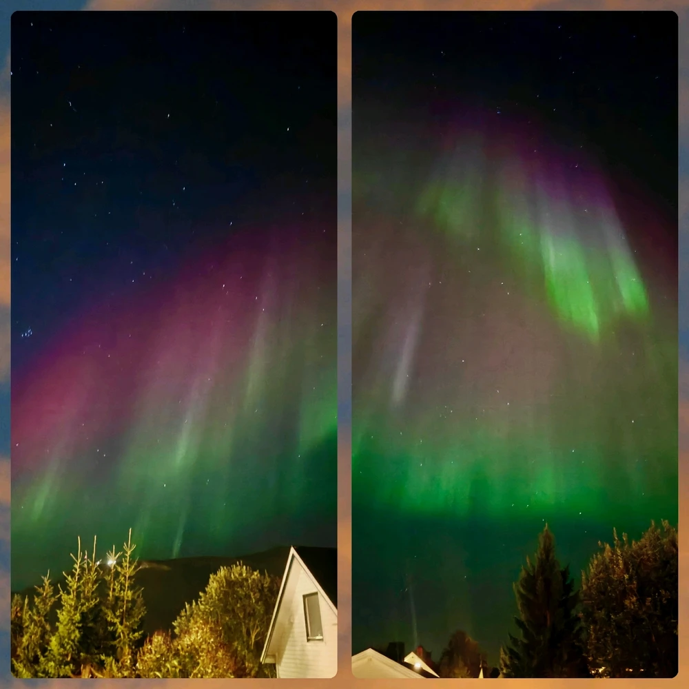 Гіфку завантажив Survivalist