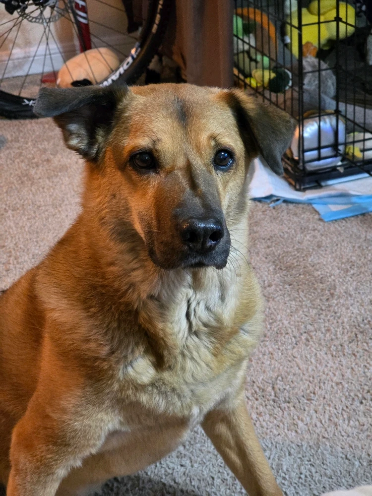 Image uploaded by Conner