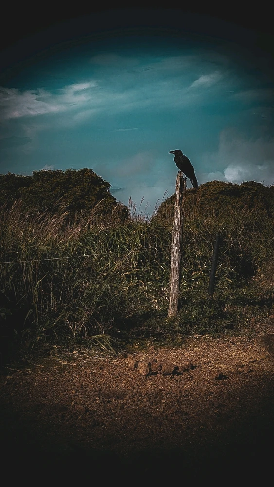 GIF diunggah dening Cybele