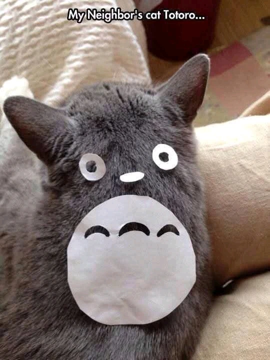 Studio Ghibli Cosplay 🥰