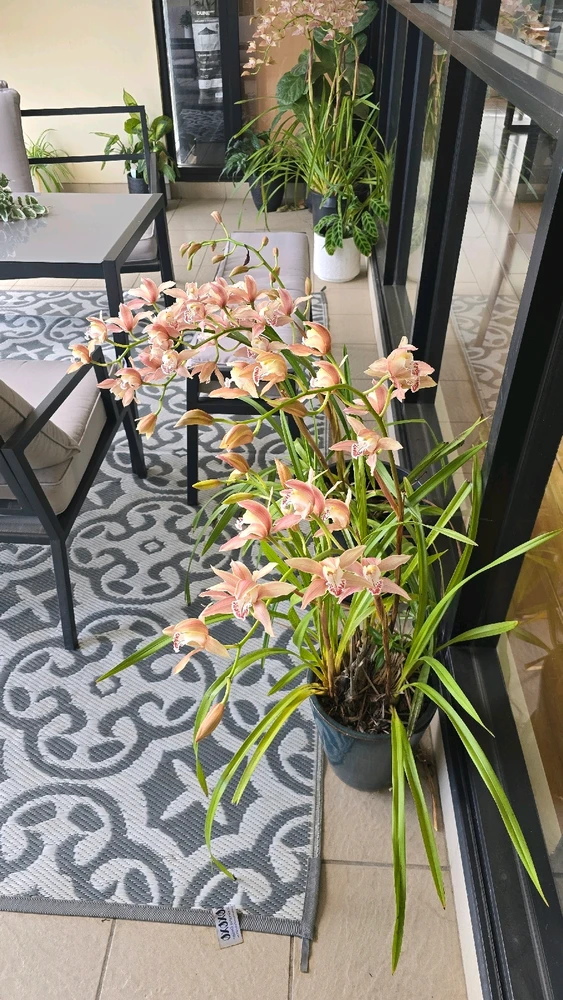 GIF uploaded by Rahn