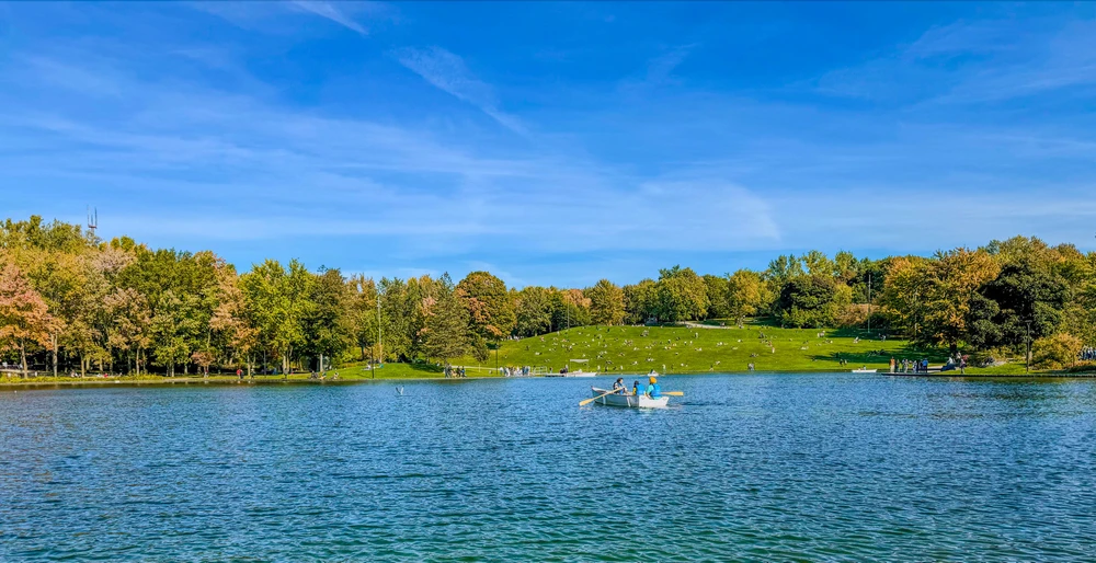 Image uploaded by Bogdan