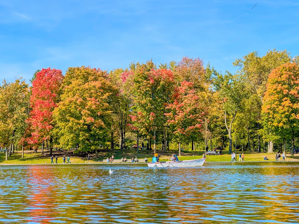 Image uploaded by Bogdan