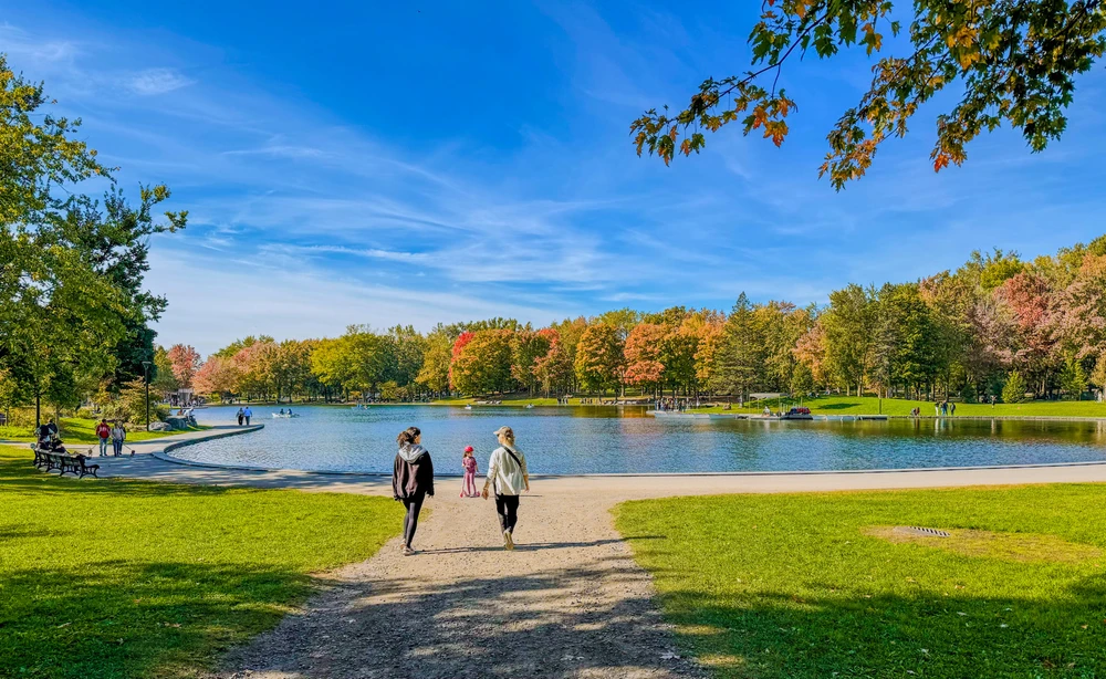 Image uploaded by Bogdan