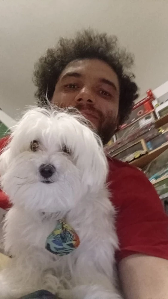 სურათი ატვირთა DGBartaia-მ