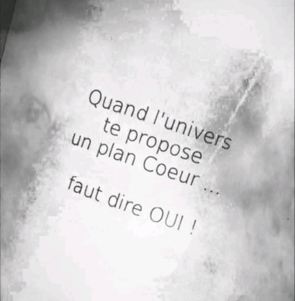 GIF ajouté par Chris