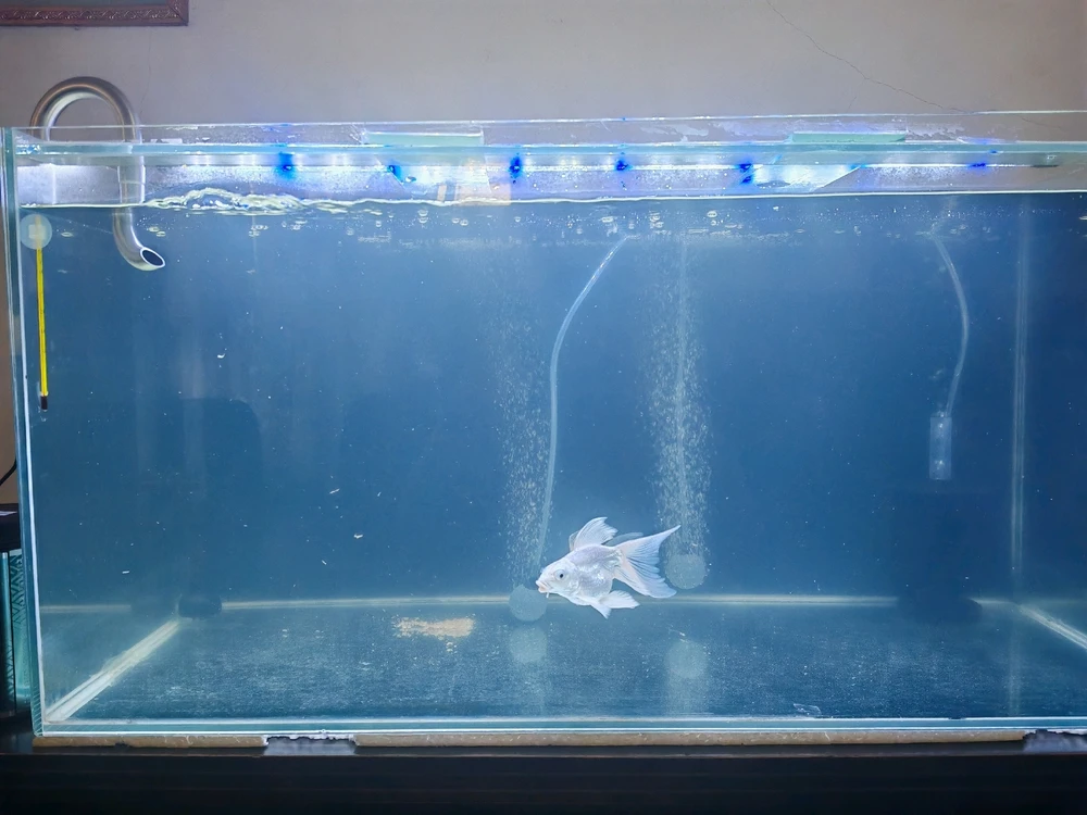 GIF uploaded by Irfan