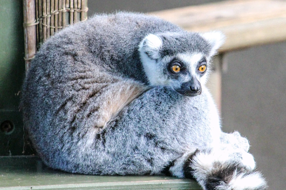 GIF uploaded by Kris