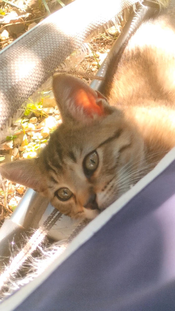 GIF uploaded by Stephan