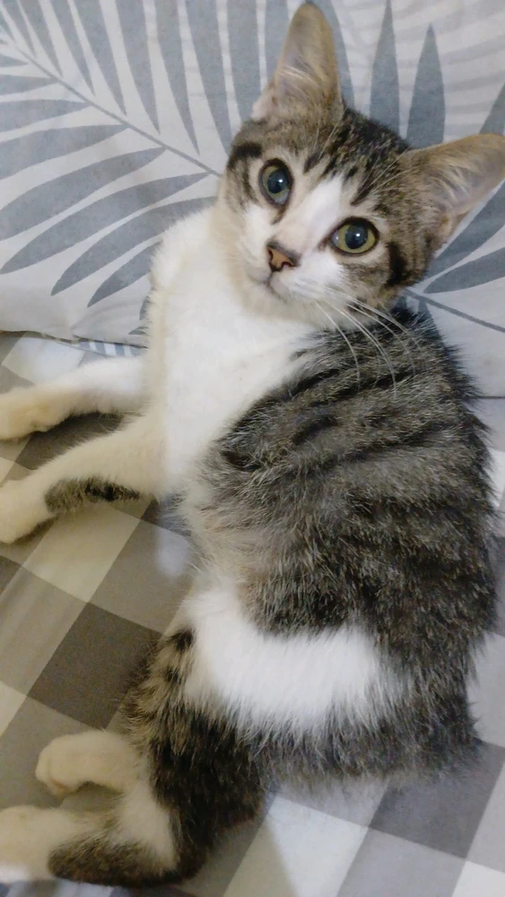 GIF uploaded by Febria