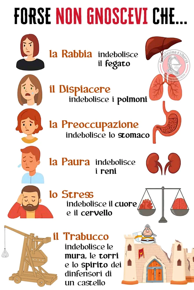 GIF caricata da Lorenzo