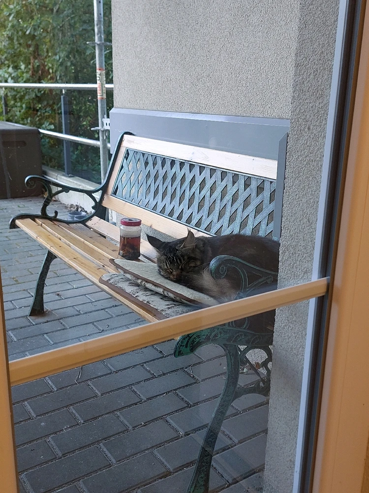 GIF hochgeladen von Alexander