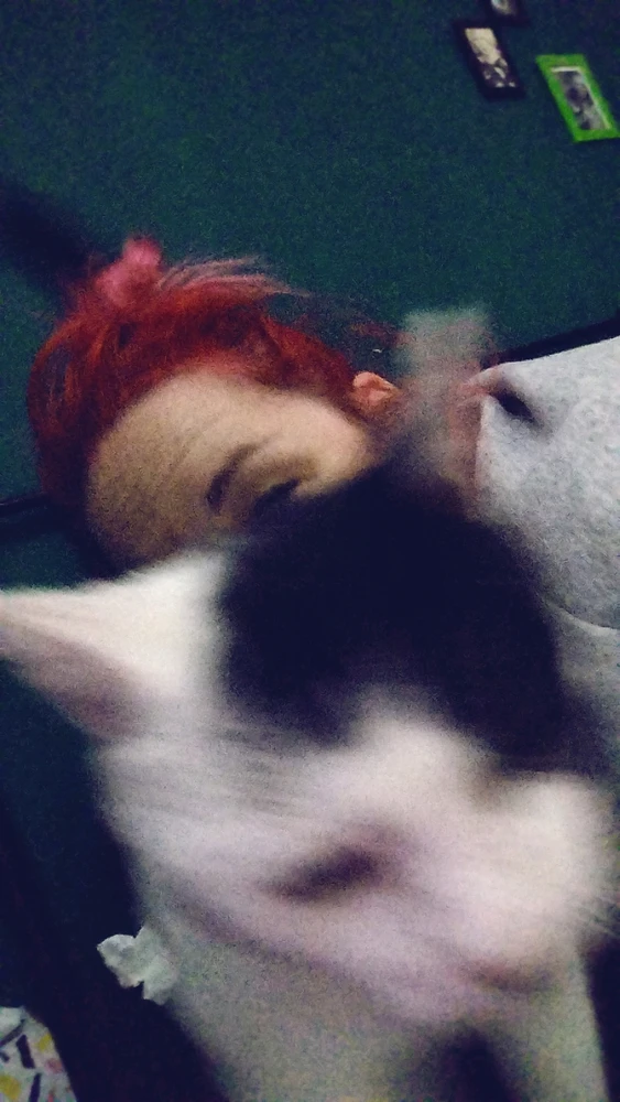 Obrázek nahrál Domča