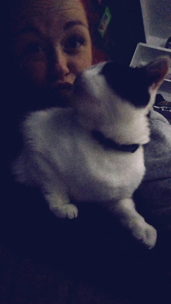 Obrázek nahrál Domča