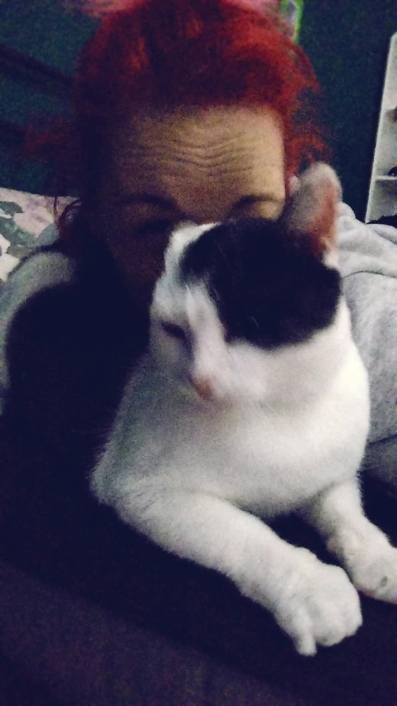 Obrázek nahrál Domča