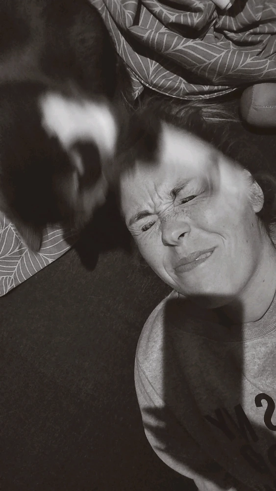 Obrázek nahrál Domča