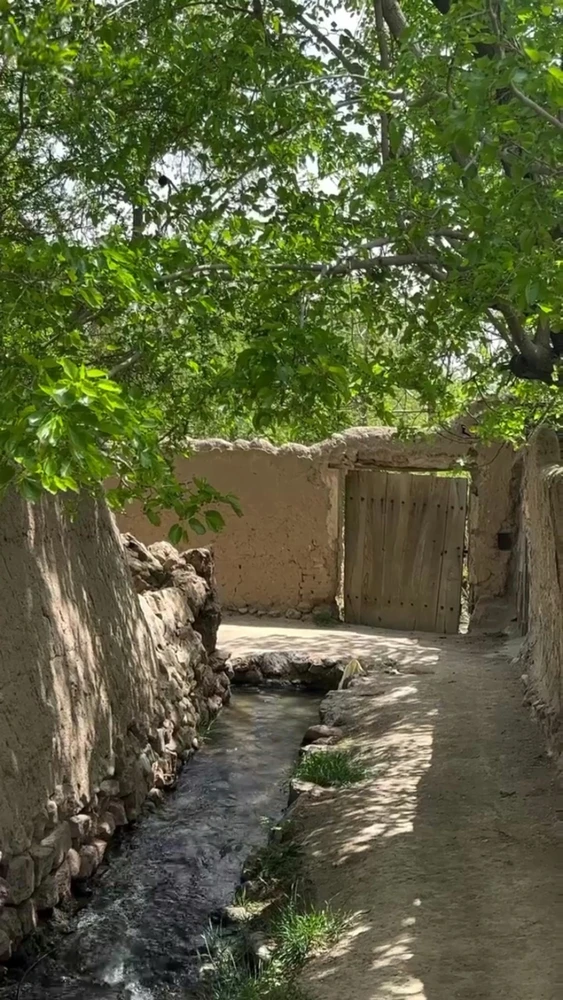 GIF uploaded by galib malik