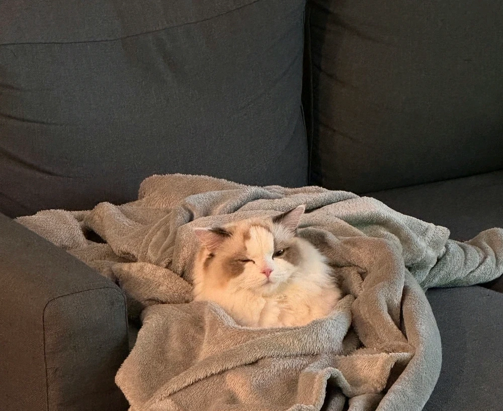 GIF uploaded by Randy