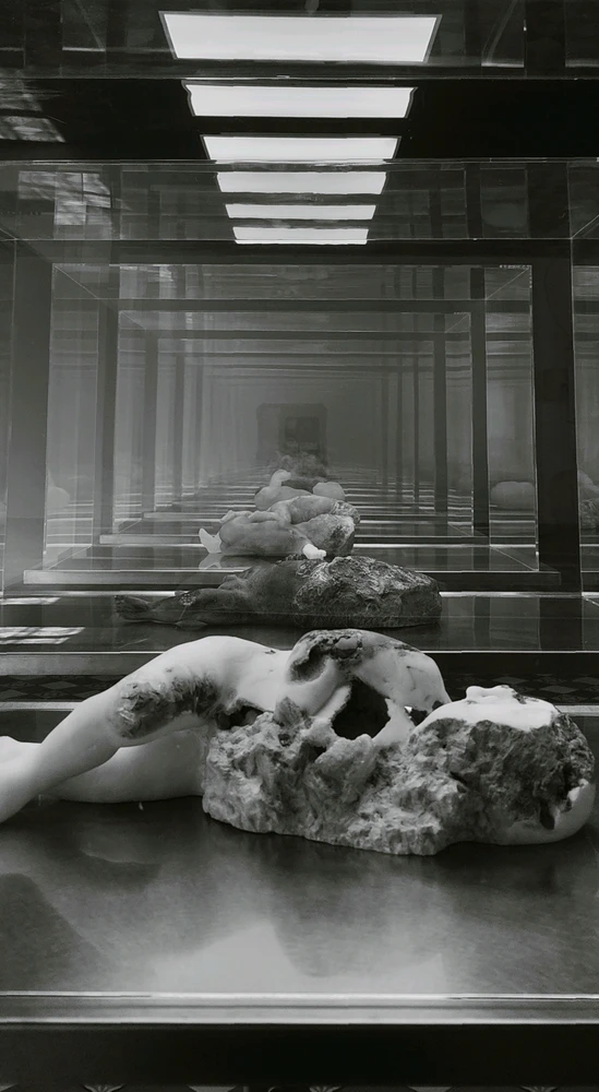 Image uploaded by Elena