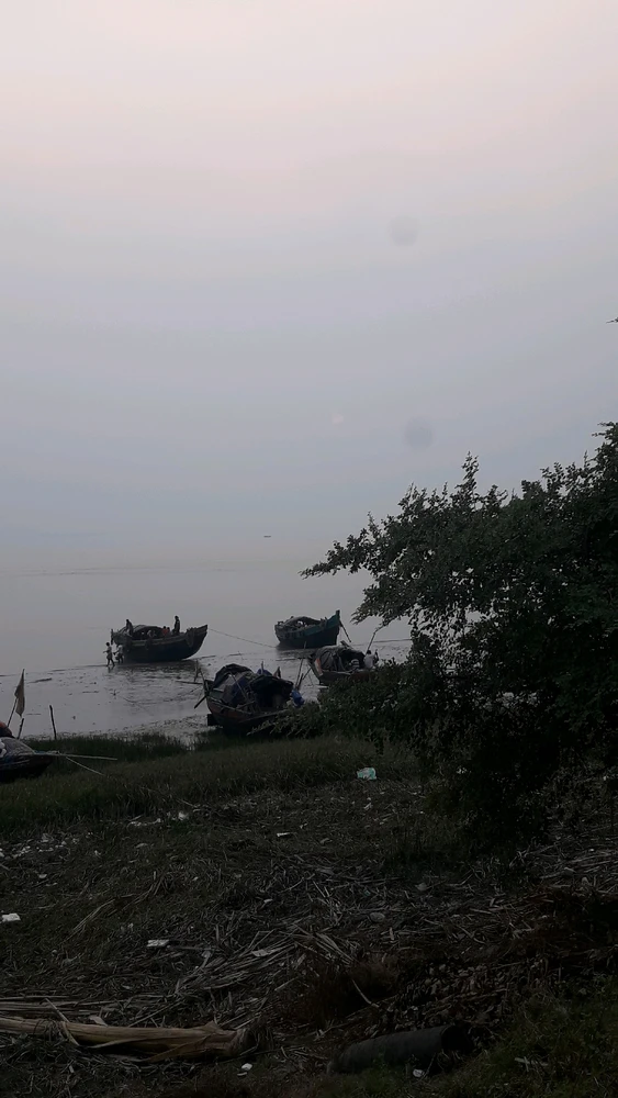 GIF uploaded by Kushal Sardar