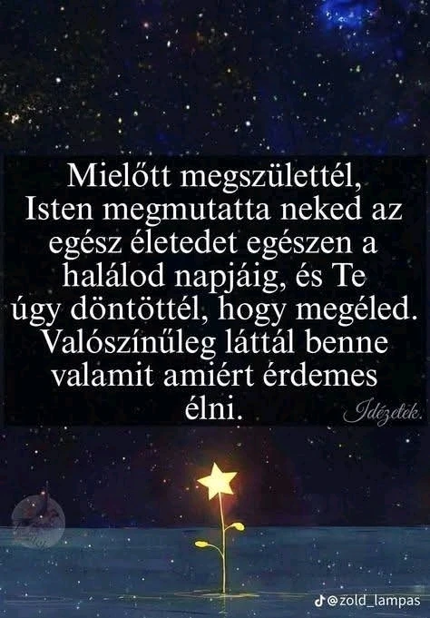 Shankara által feltöltött GIF